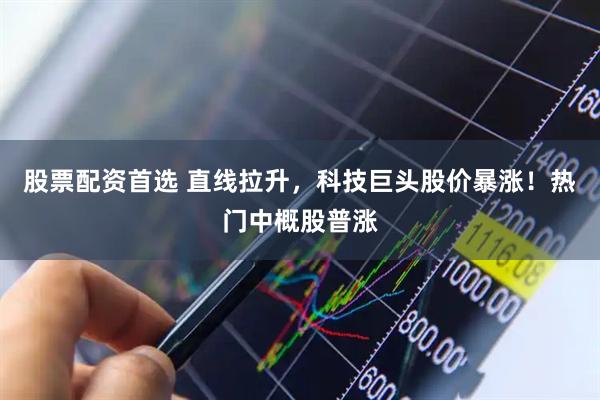股票配资首选 直线拉升，科技巨头股价暴涨！热门中概股普涨
